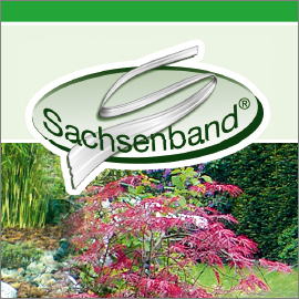 i-send Sachsenband
